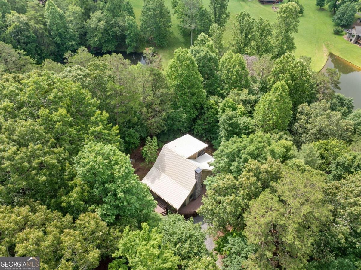 85 Misty Hollow Ridge Ellijay - 44