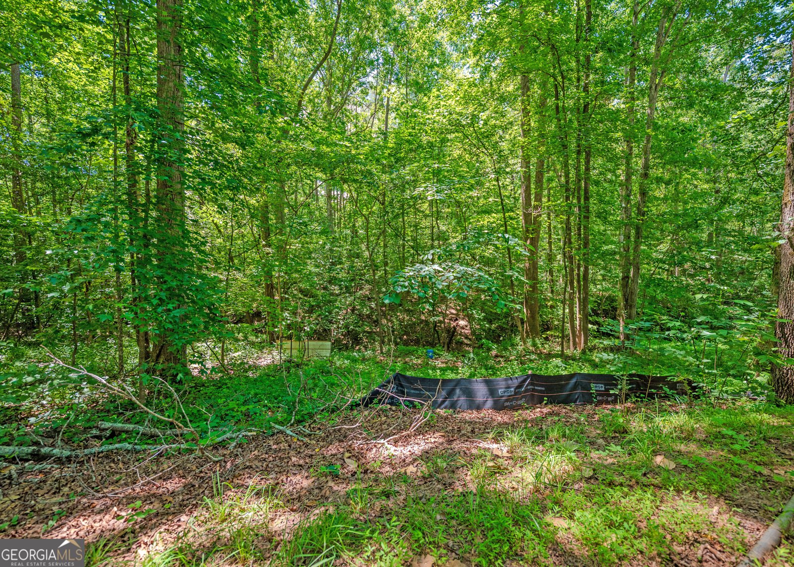 335 Lake Harbor Trail Martin - 21