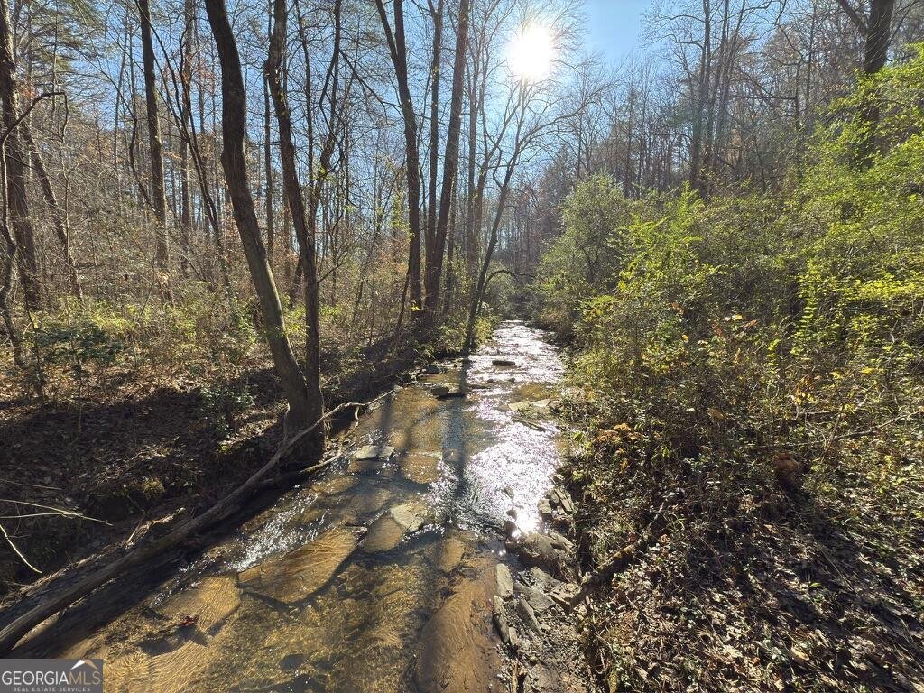 138 Rhondas Way East Ellijay - 2