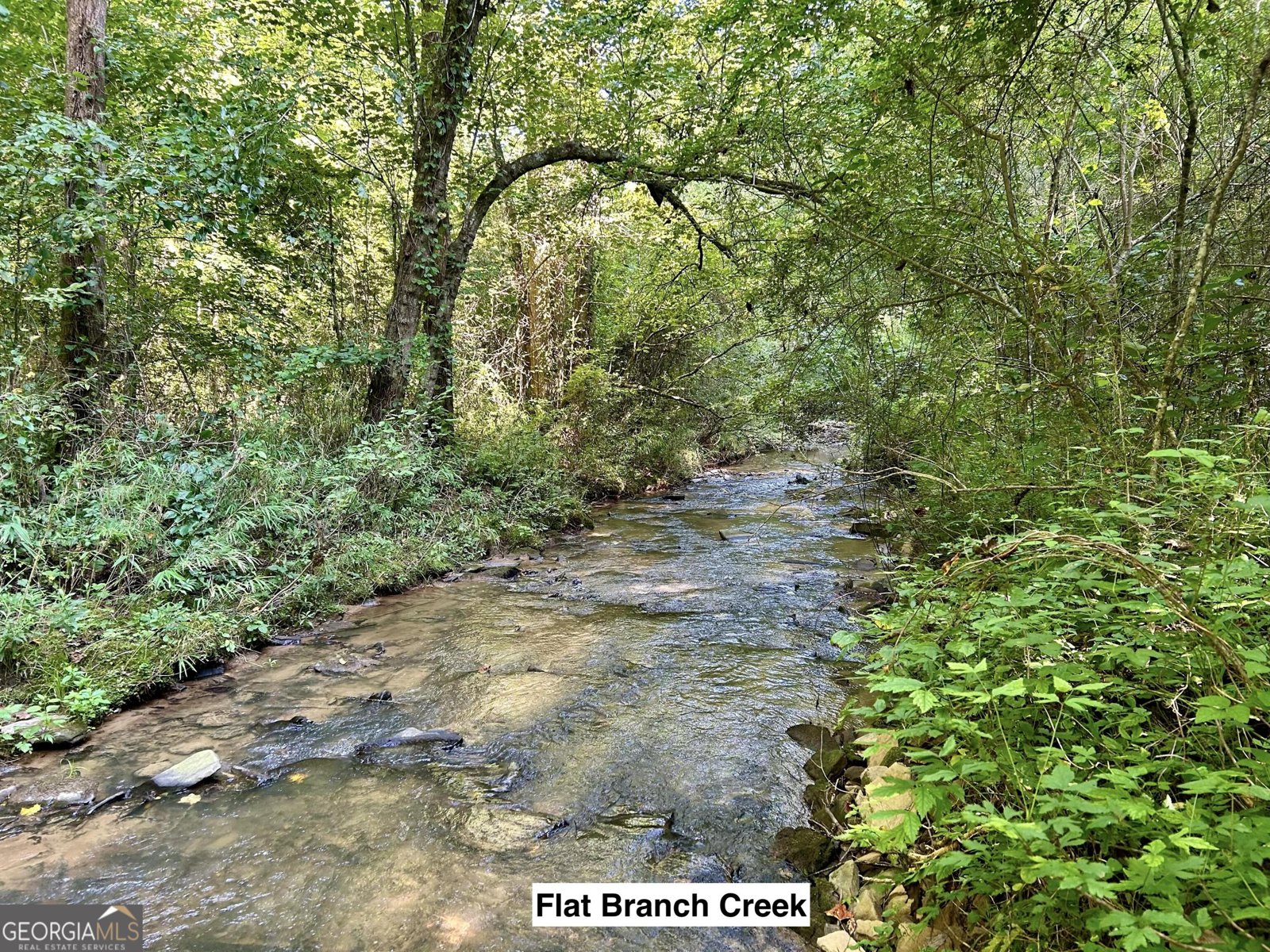 138 Rhondas Way East Ellijay - 46