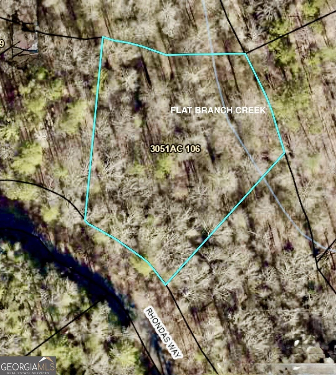 138 Rhondas Way East Ellijay - 49