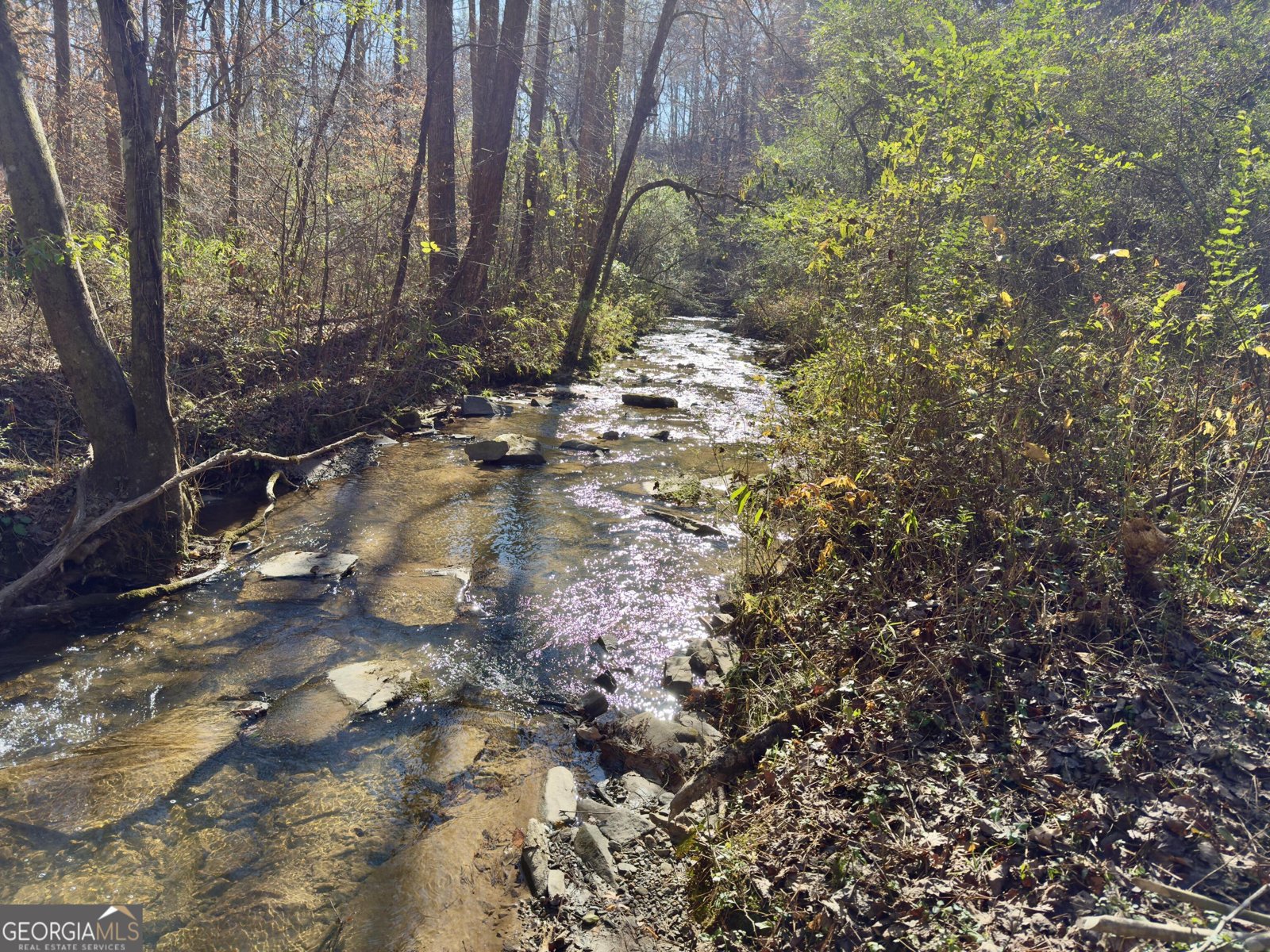 138 Rhondas Way East Ellijay - 5