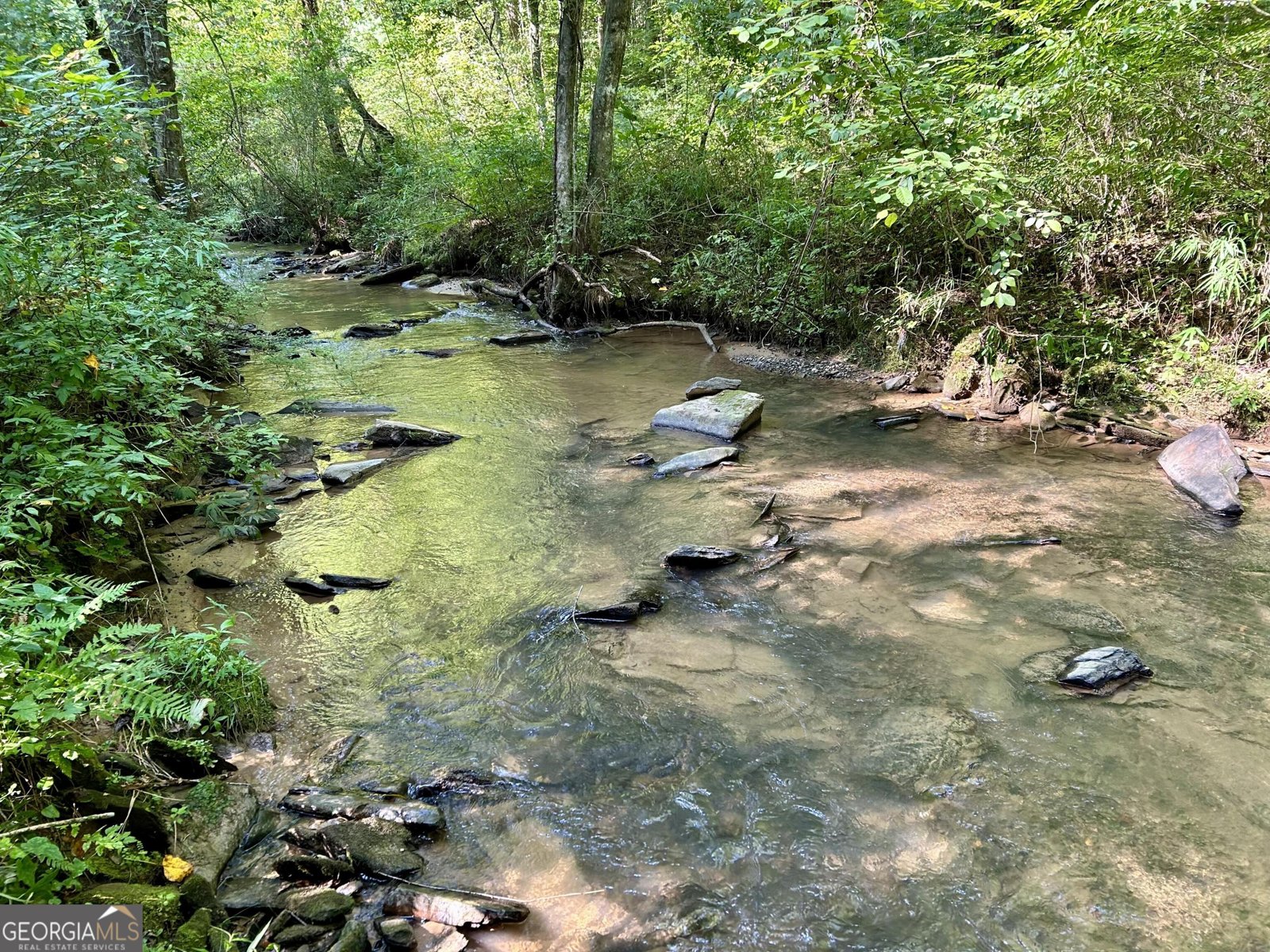 138 Rhondas Way East Ellijay - 50