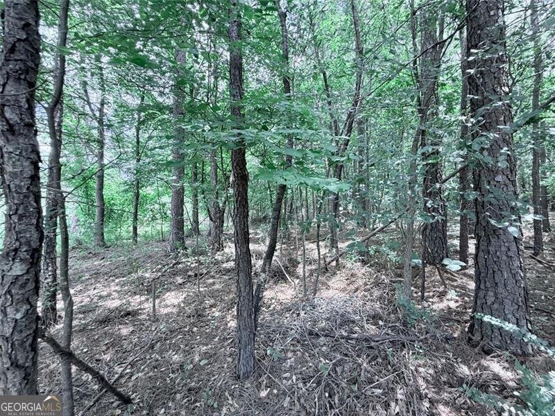 49 HAMPTON Drive Cartersville - 22