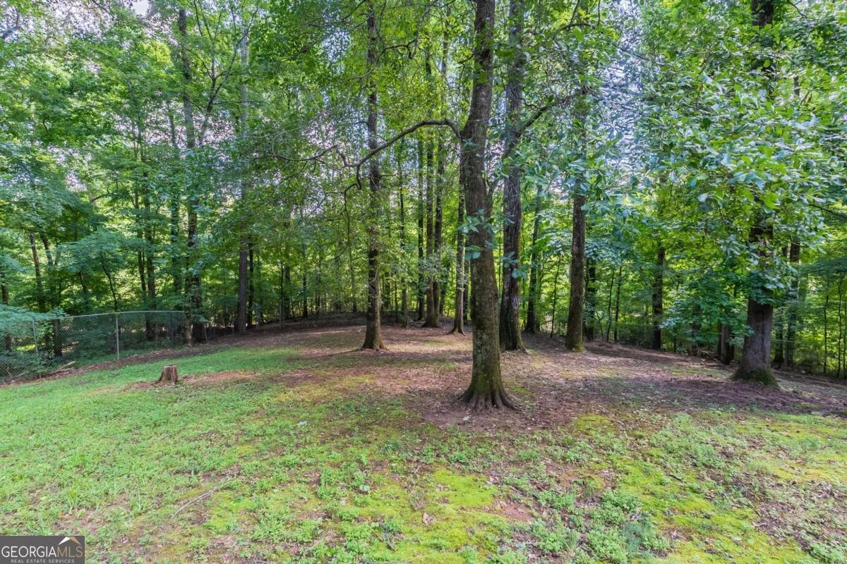 5341 Terrytown Lane Lithonia - 12