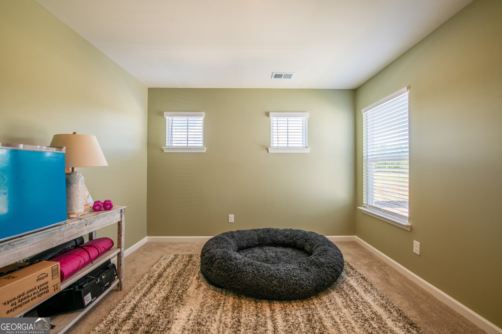 13568 Scenic Parkway Covington - 29
