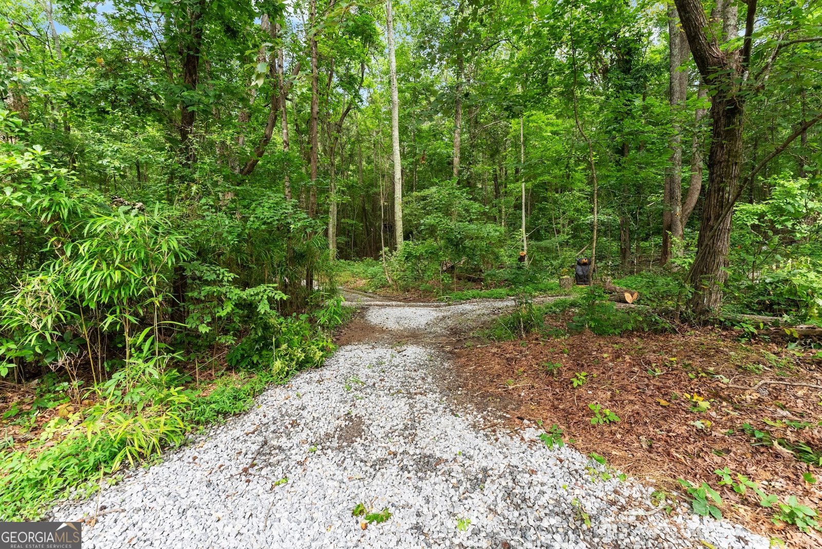 1572 Azalea Drive Lawrenceville - 100
