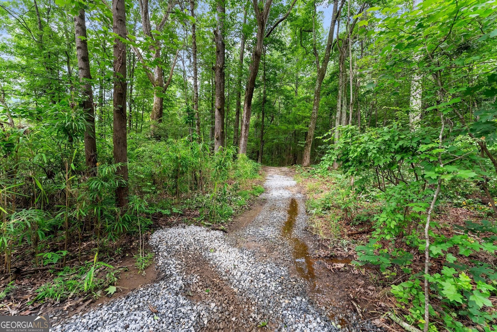 1572 Azalea Drive Lawrenceville - 63