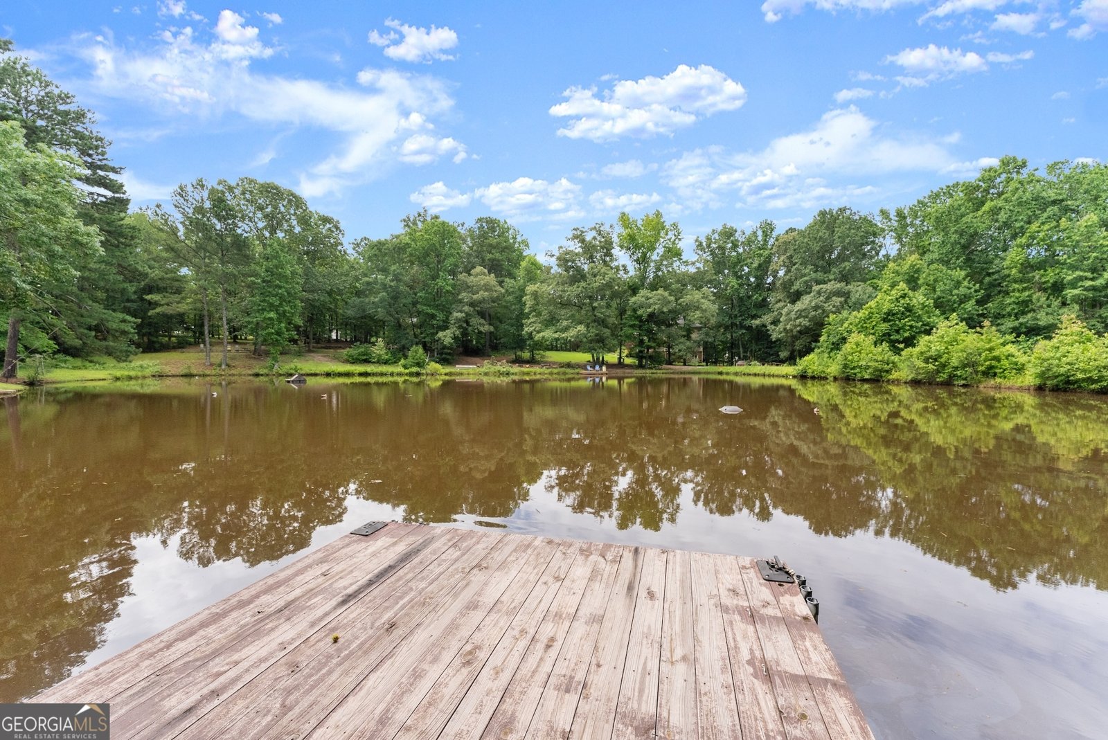 1572 Azalea Drive Lawrenceville - 99