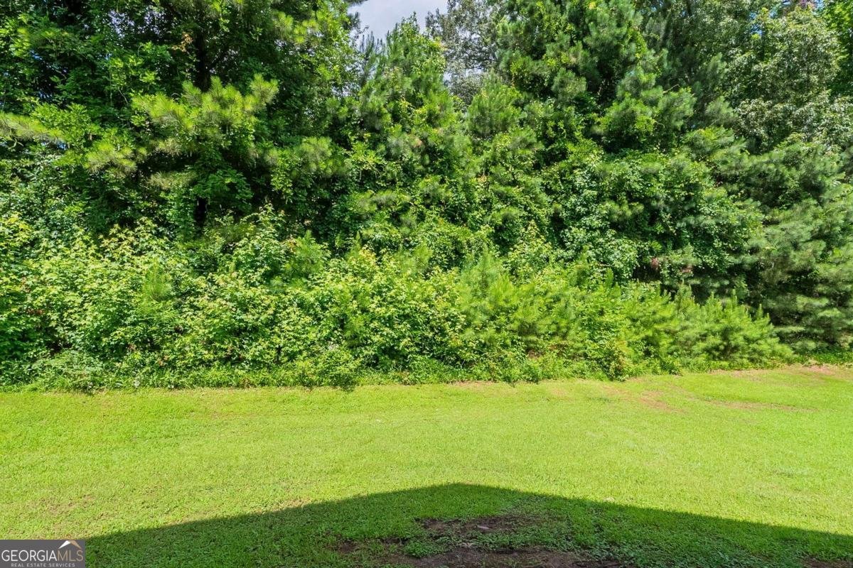 513 Shadow Valley Court Lithonia - 30