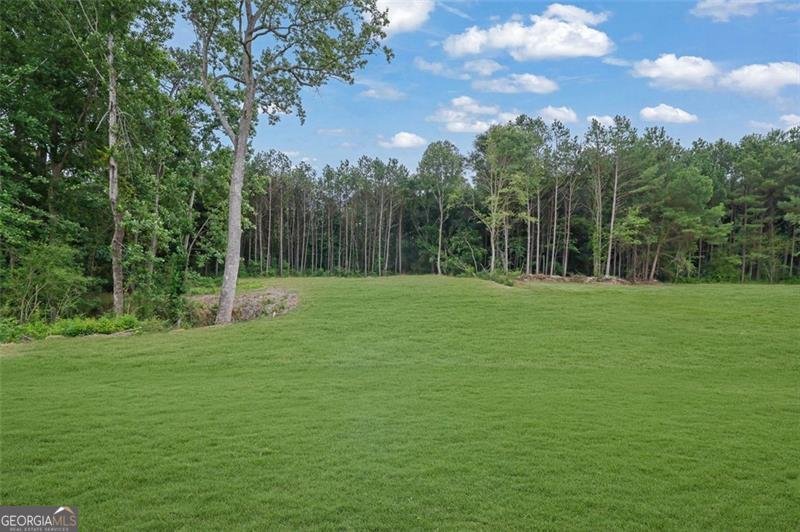 3893 Indian Shoals Road Dacula - 25