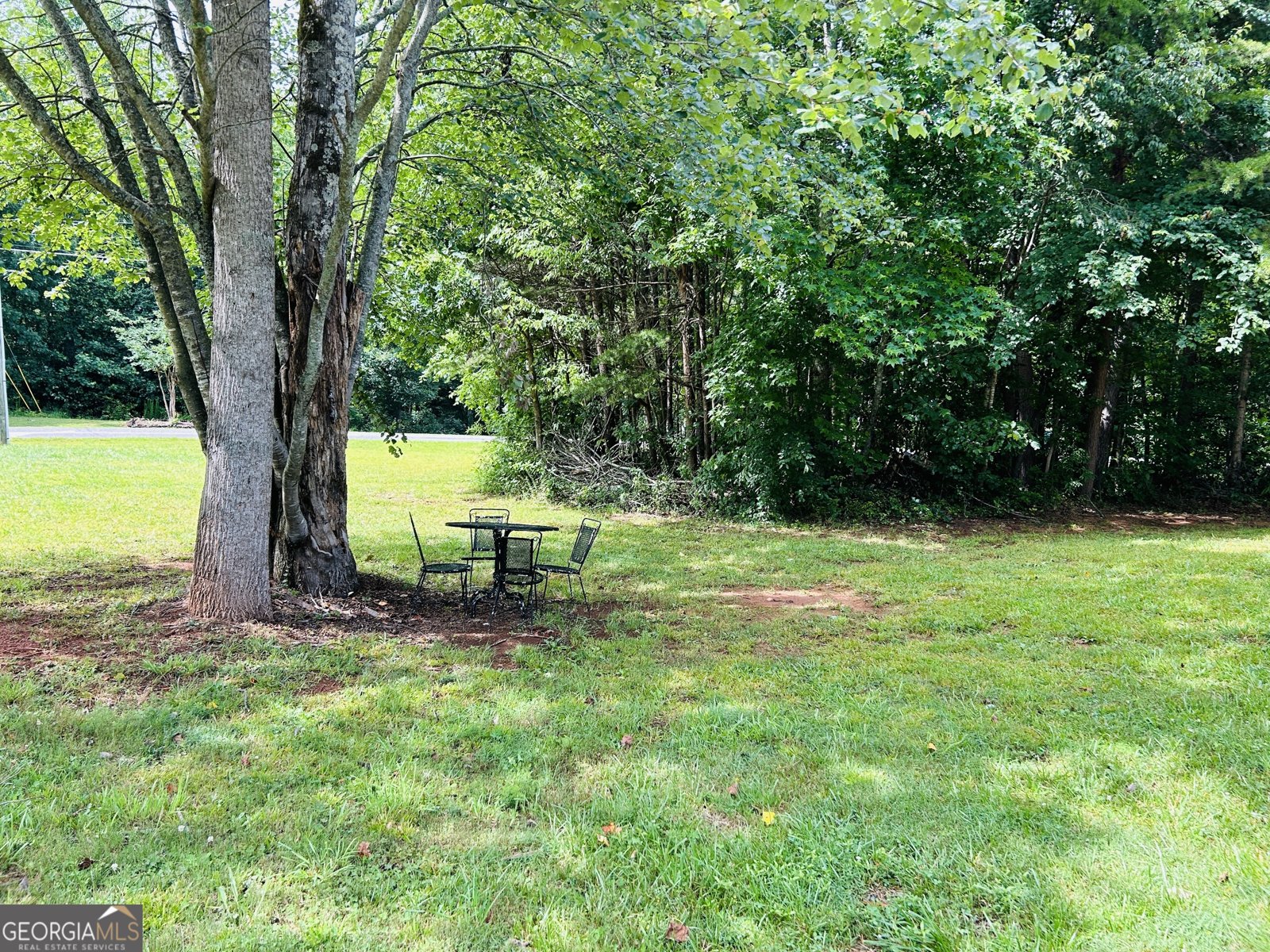 766 Wild Rose Lane Mount Airy - 4