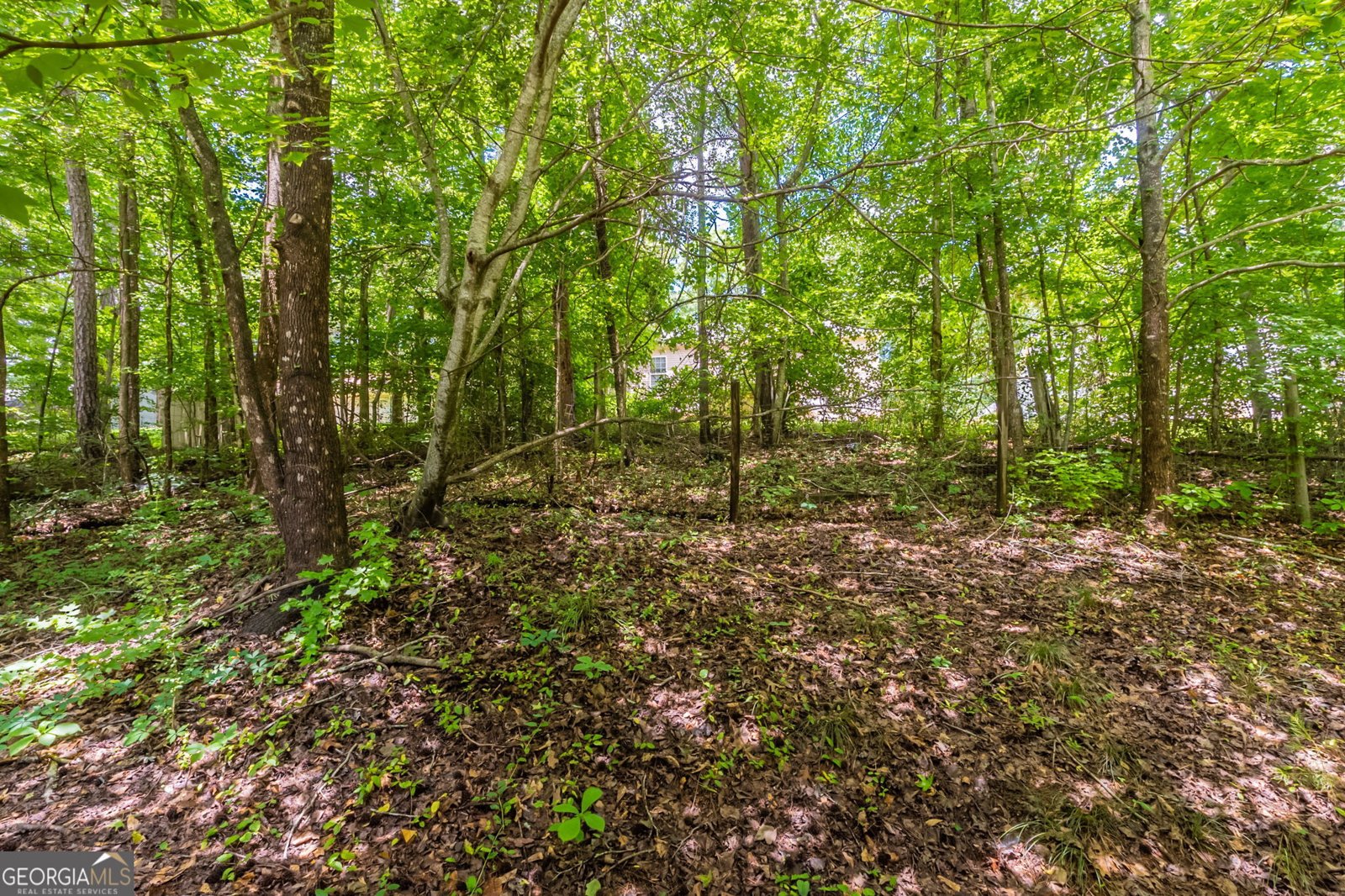 3930 Pine Tree Lane Gainesville - 30