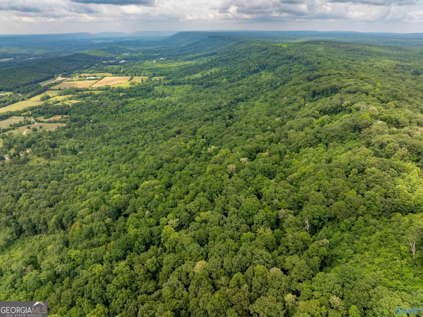 16565 County Road 89 Mentone - 9