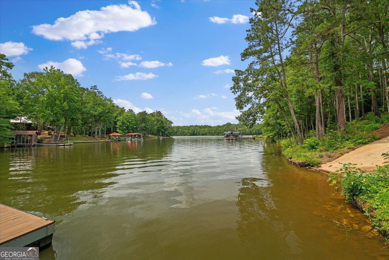 85 Geralds Point Wedowee - 35