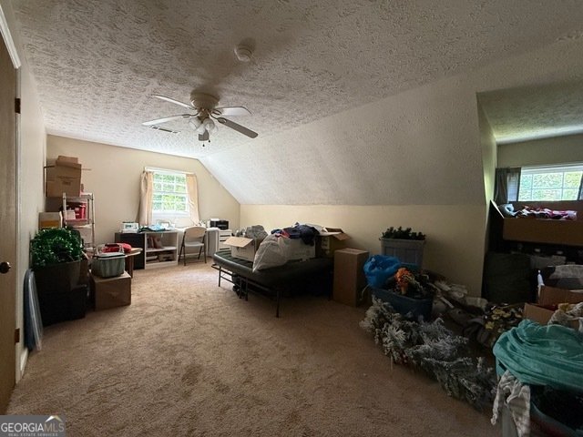 129 Bay Valley Drive Milledgeville - 21