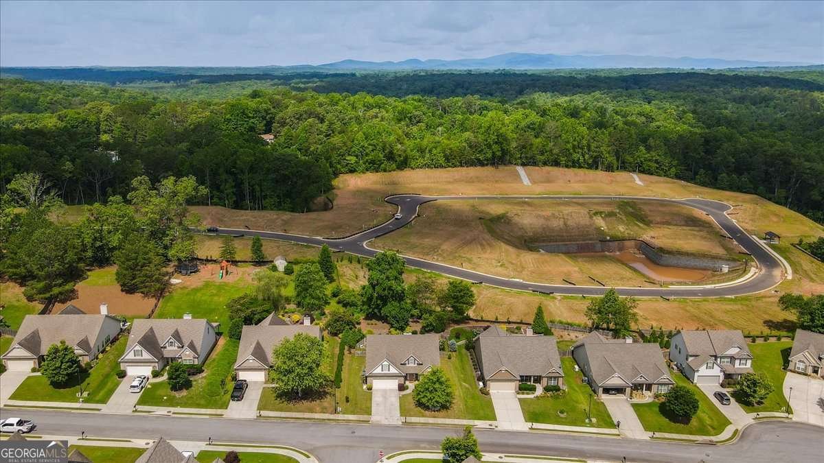 217 River Mill Lane Dawsonville - 43