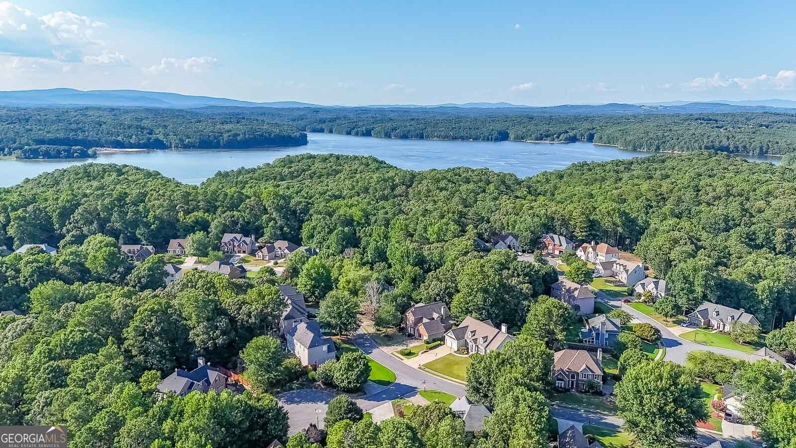 111 Springshade Lane Canton - 22