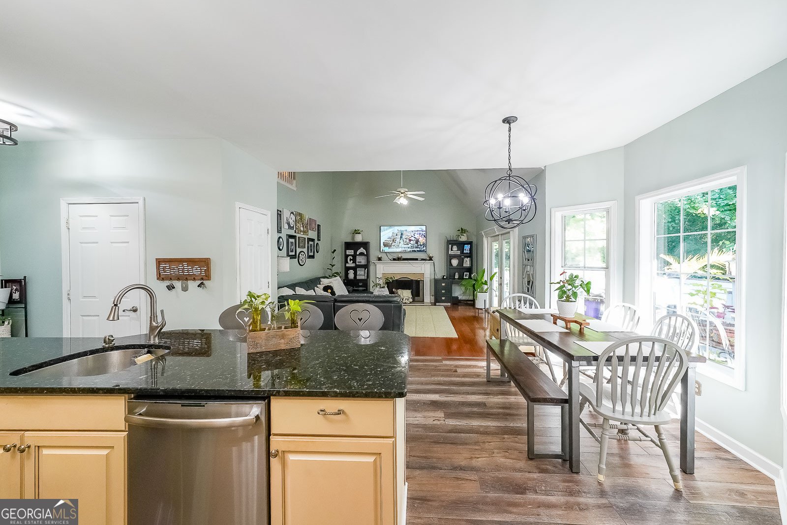 111 Springshade Lane Canton - 6