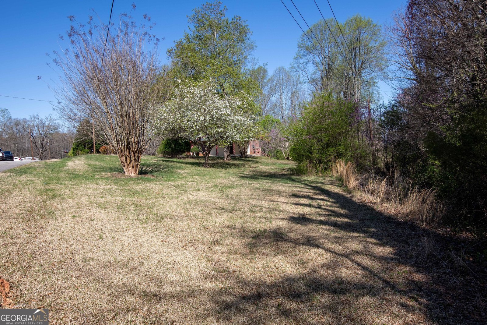243 Charlie Batson Drive Demorest - 19