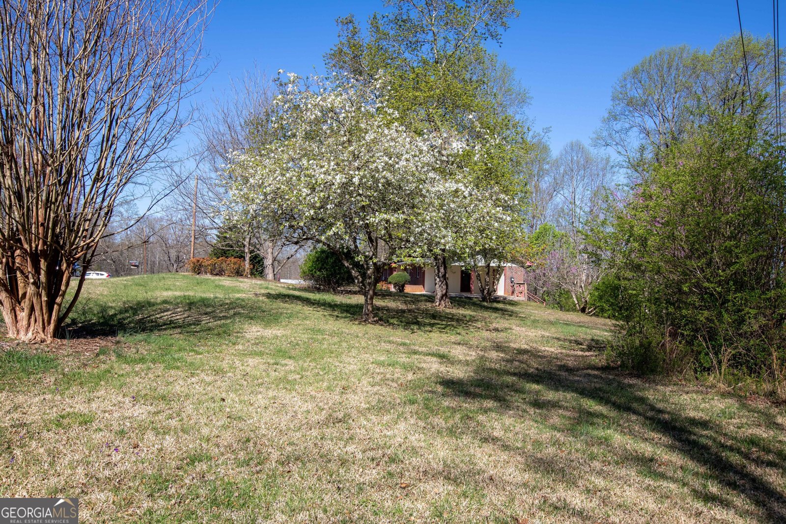 243 Charlie Batson Drive Demorest - 20
