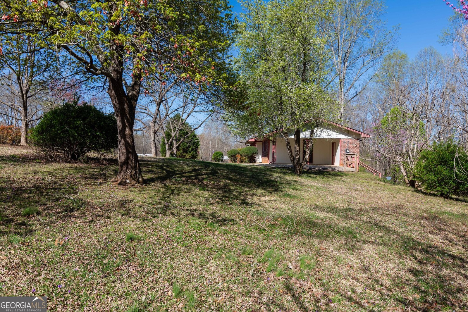 243 Charlie Batson Drive Demorest - 21