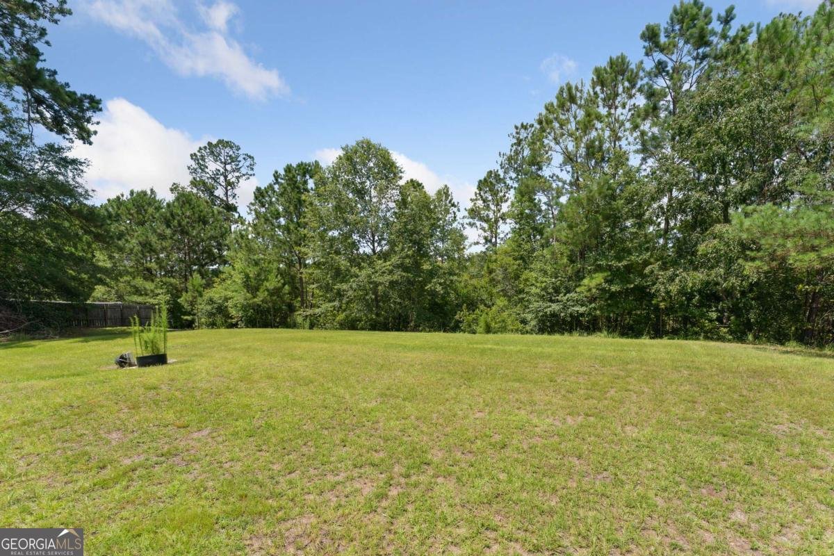 352 Mockingbird Drive Springfield - 15