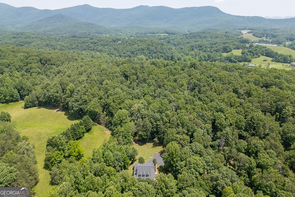 906 Walnut Valley Drive Dahlonega - 59
