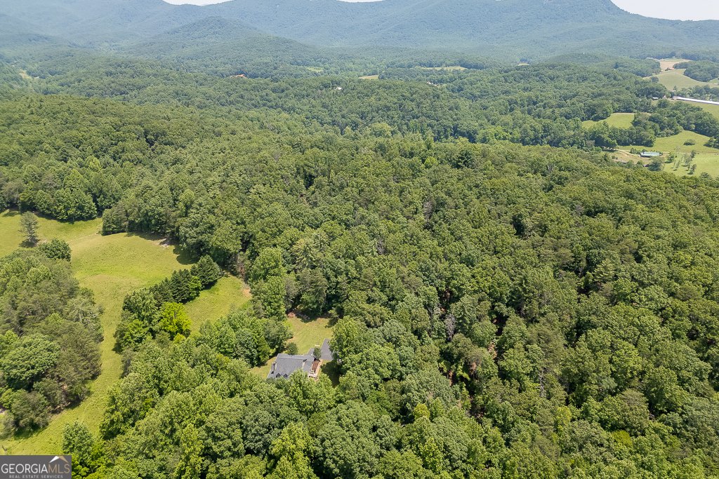 906 Walnut Valley Drive Dahlonega - 61