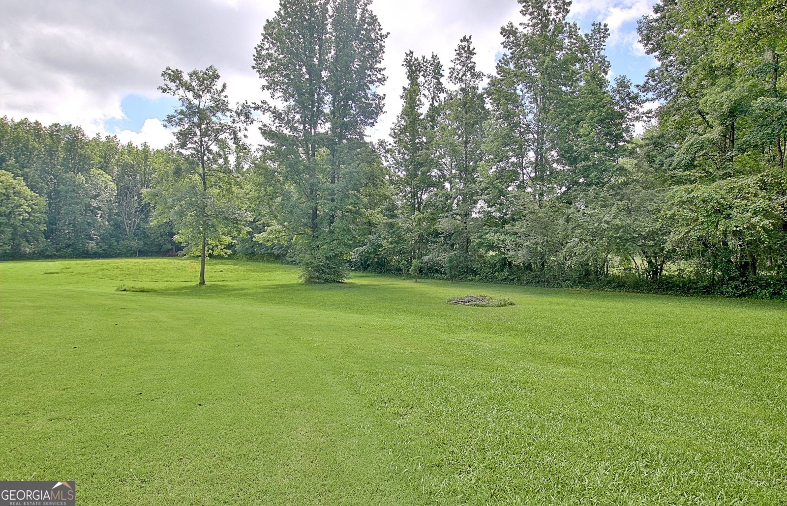 5187 Lower Fayetteville Road Sharpsburg - 48