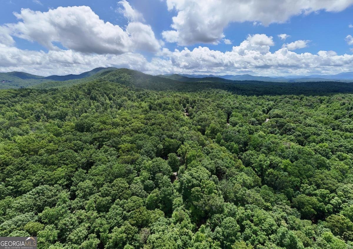 811 Wilmar Circle Blairsville - 41