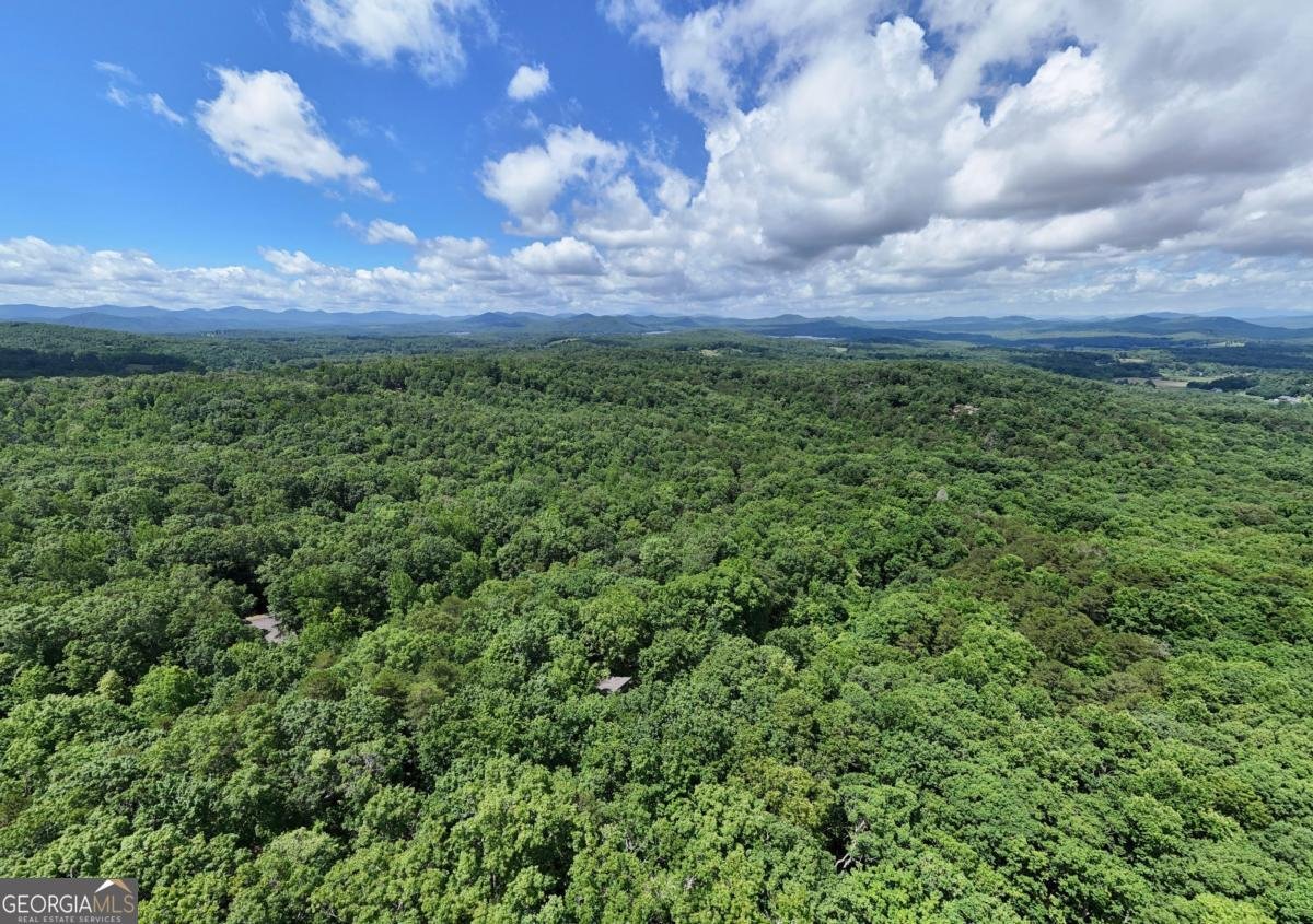 811 Wilmar Circle Blairsville - 42