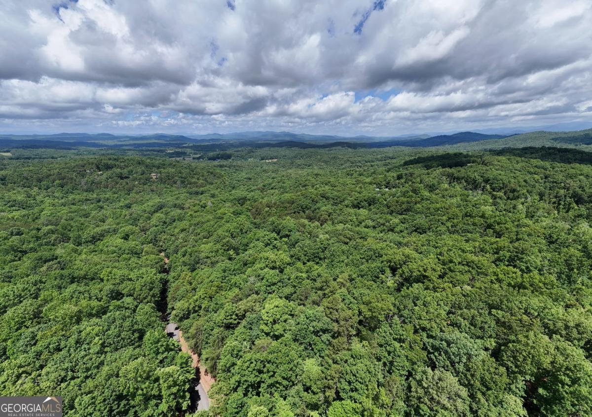 811 Wilmar Circle Blairsville - 43
