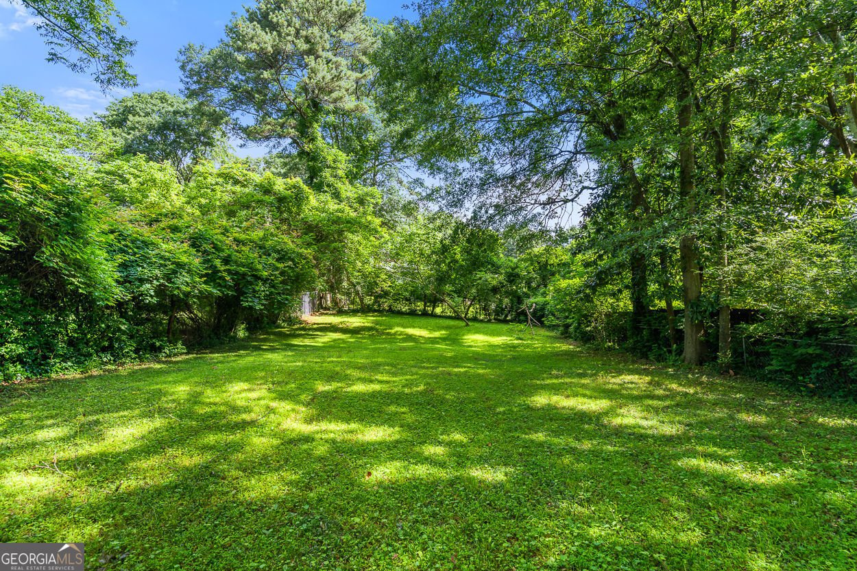 1556 Braeburn Drive Atlanta - 29