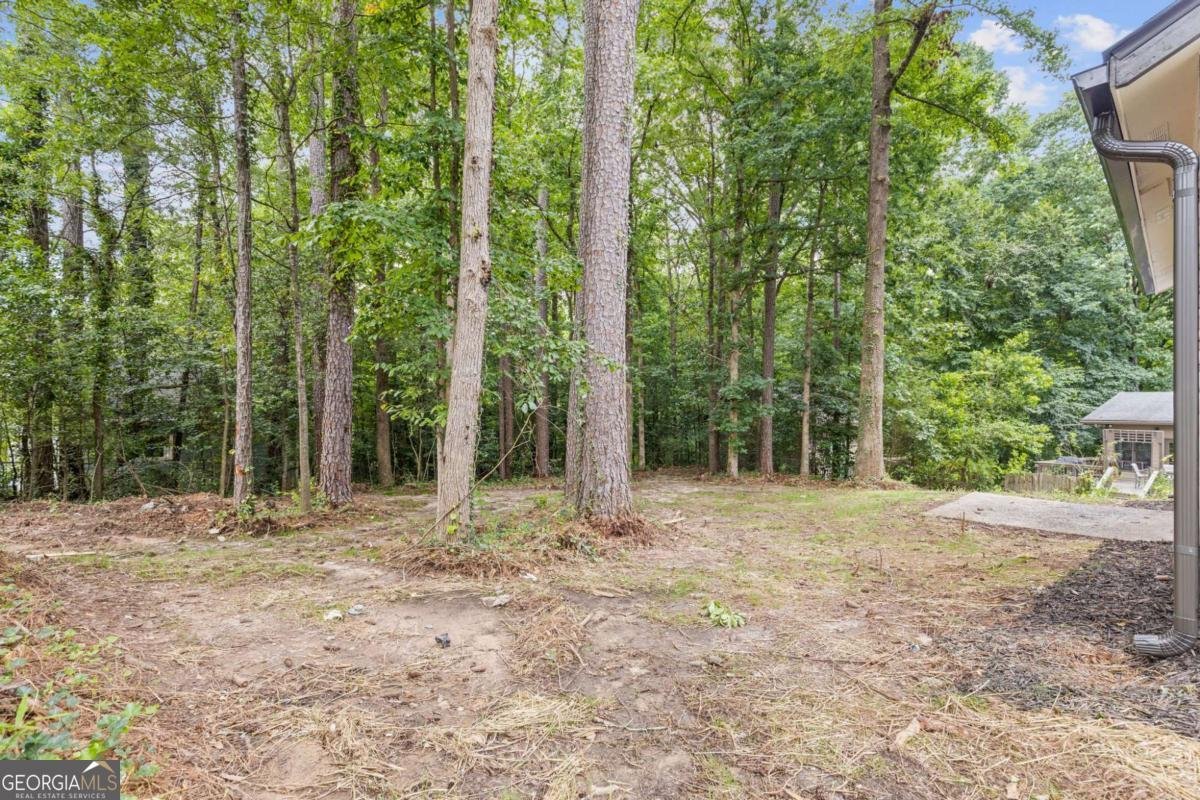 4847 Royal Drive Duluth - 22