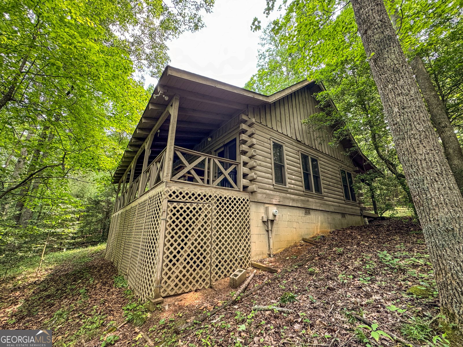 123 Martins Bluff Blairsville - 3