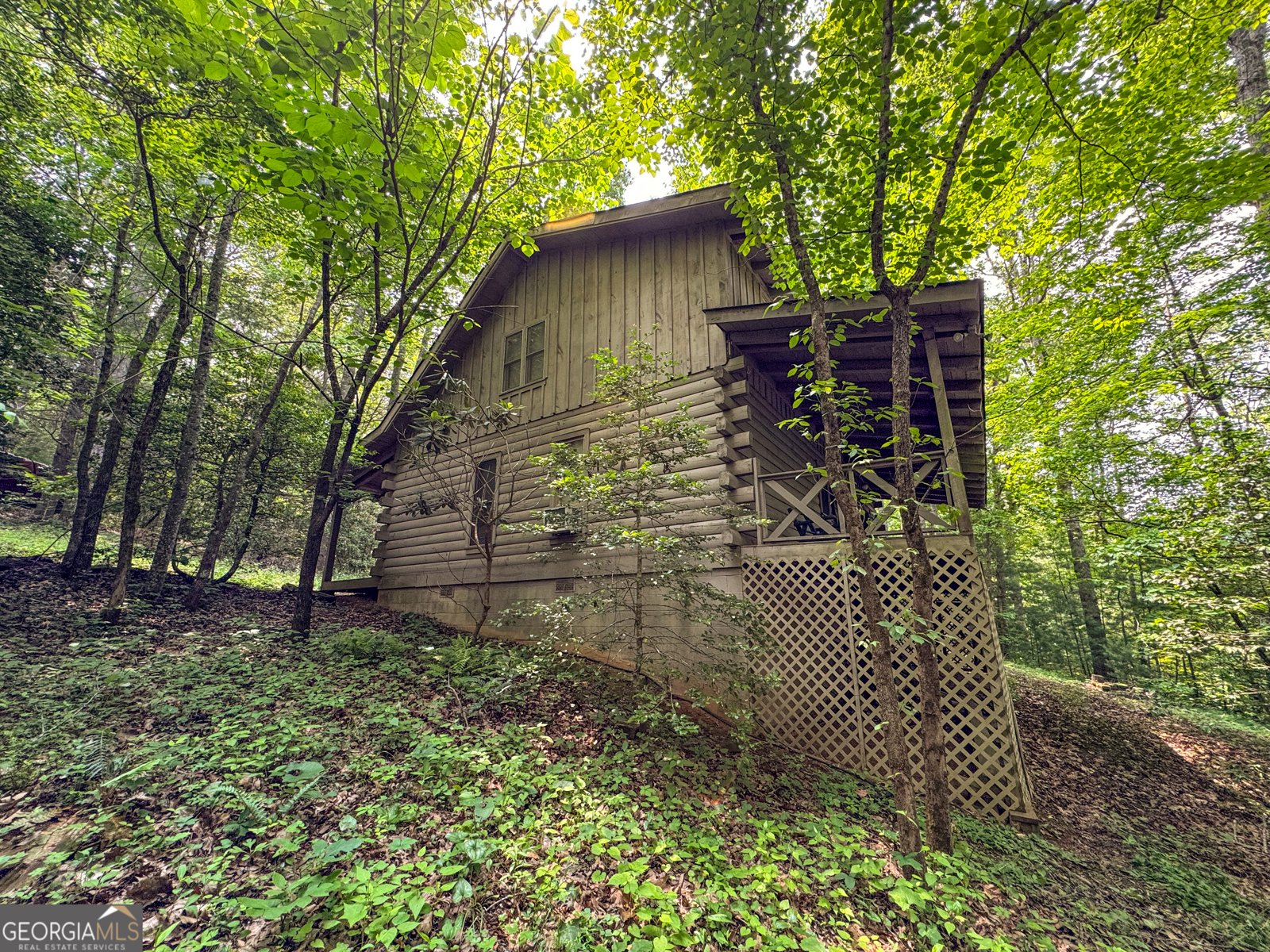 123 Martins Bluff Blairsville - 4
