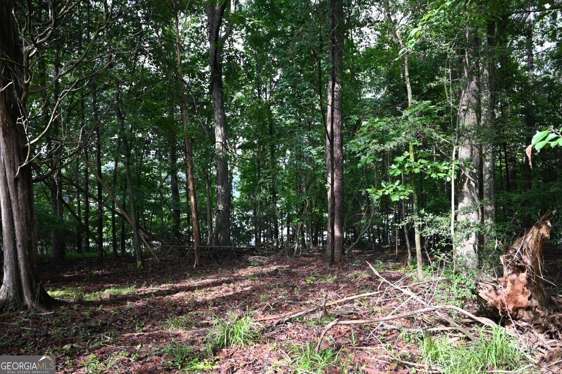81 Smokerise Pt Peachtree City - 33