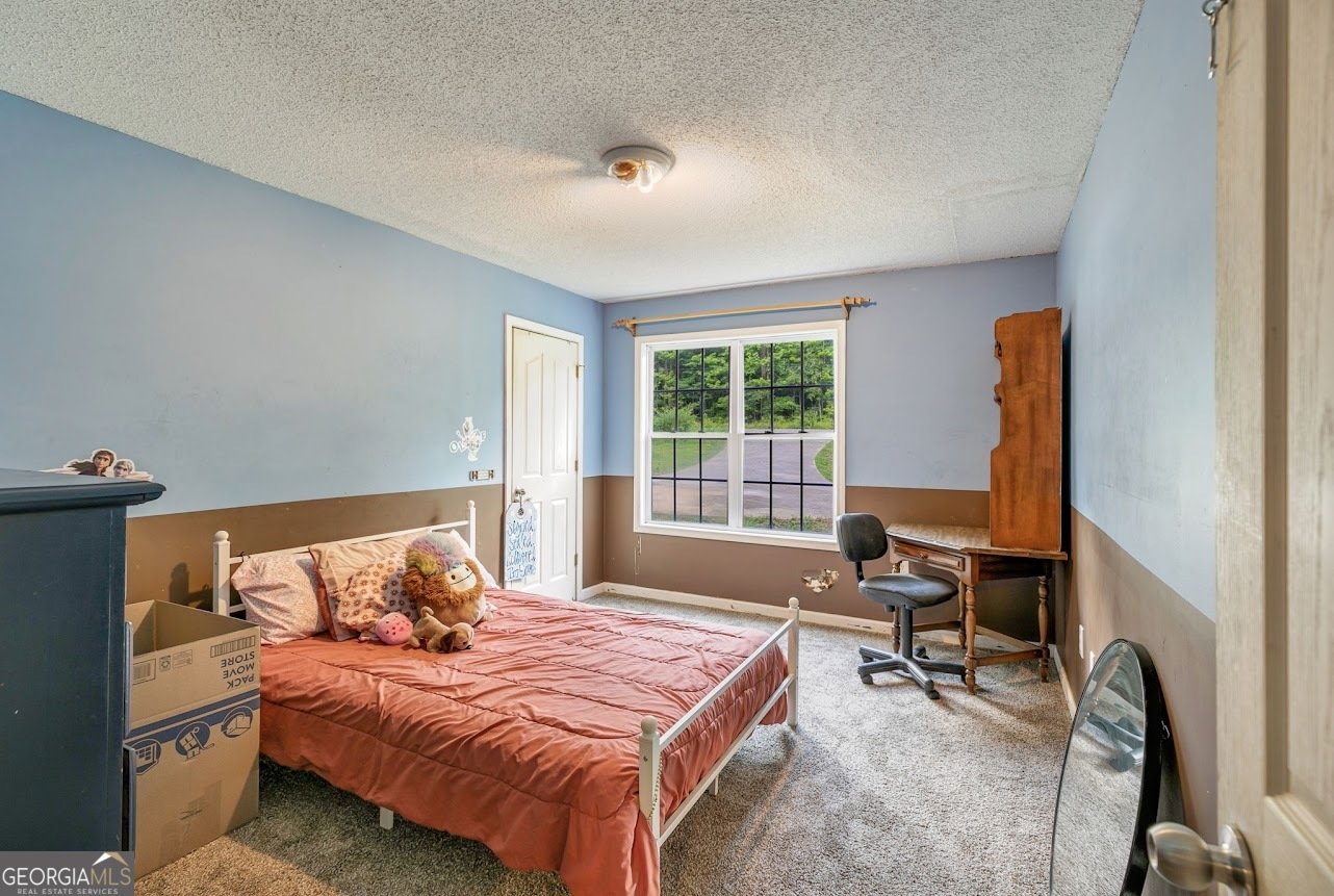 1047 Mormon Church Road Buchanan - 11