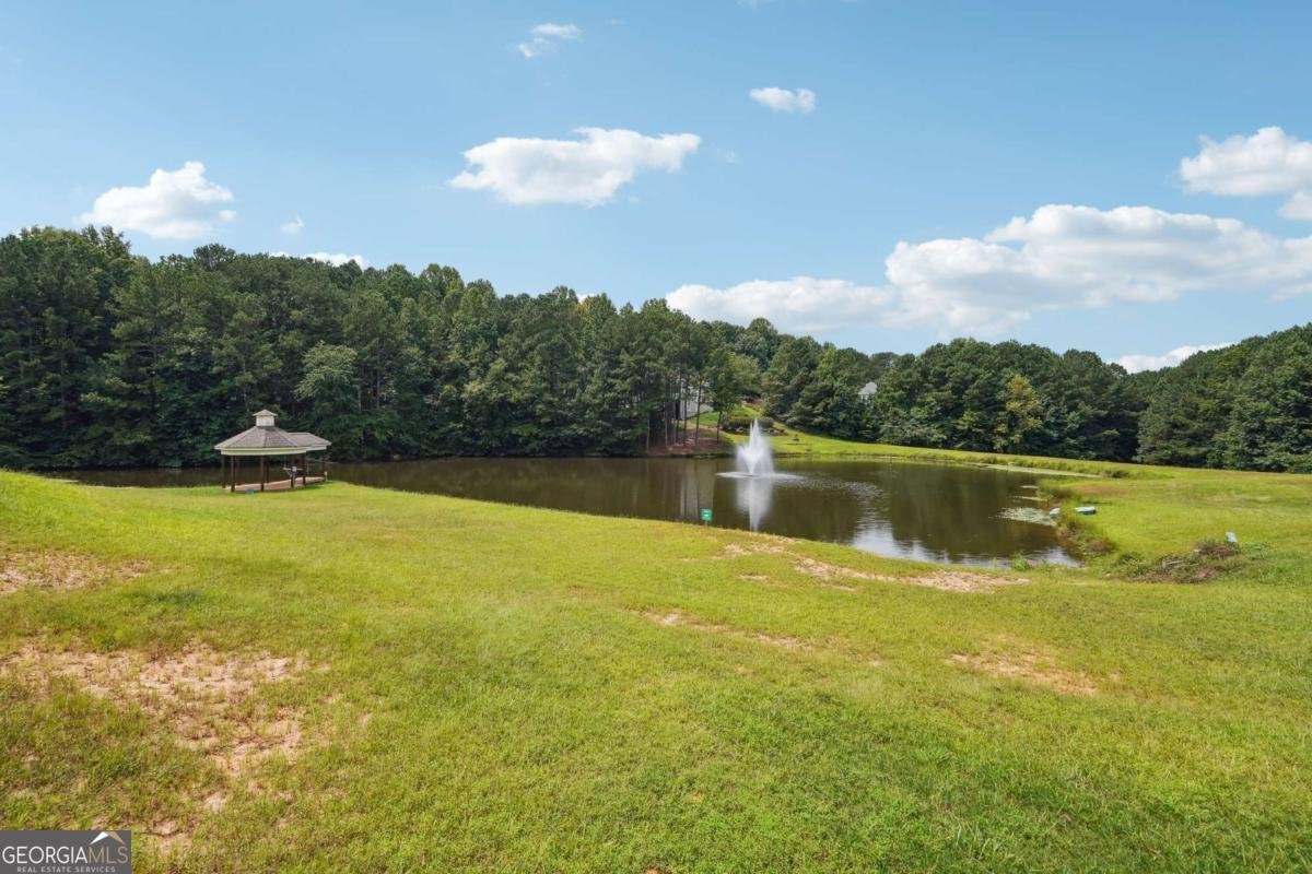 9320 Old Preserve Trail Ball Ground - 22