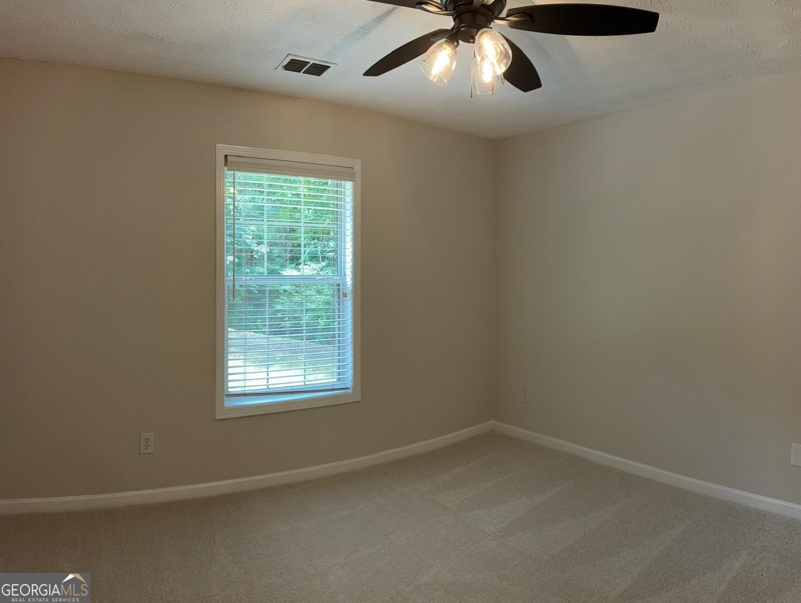 3066 Gem Creek Road Buford - 24