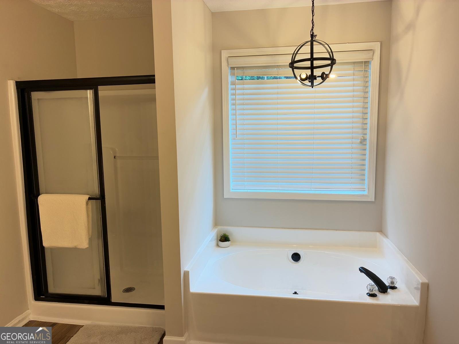 3066 Gem Creek Road Buford - 26