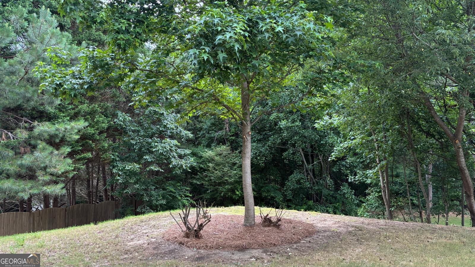 3066 Gem Creek Road Buford - 43