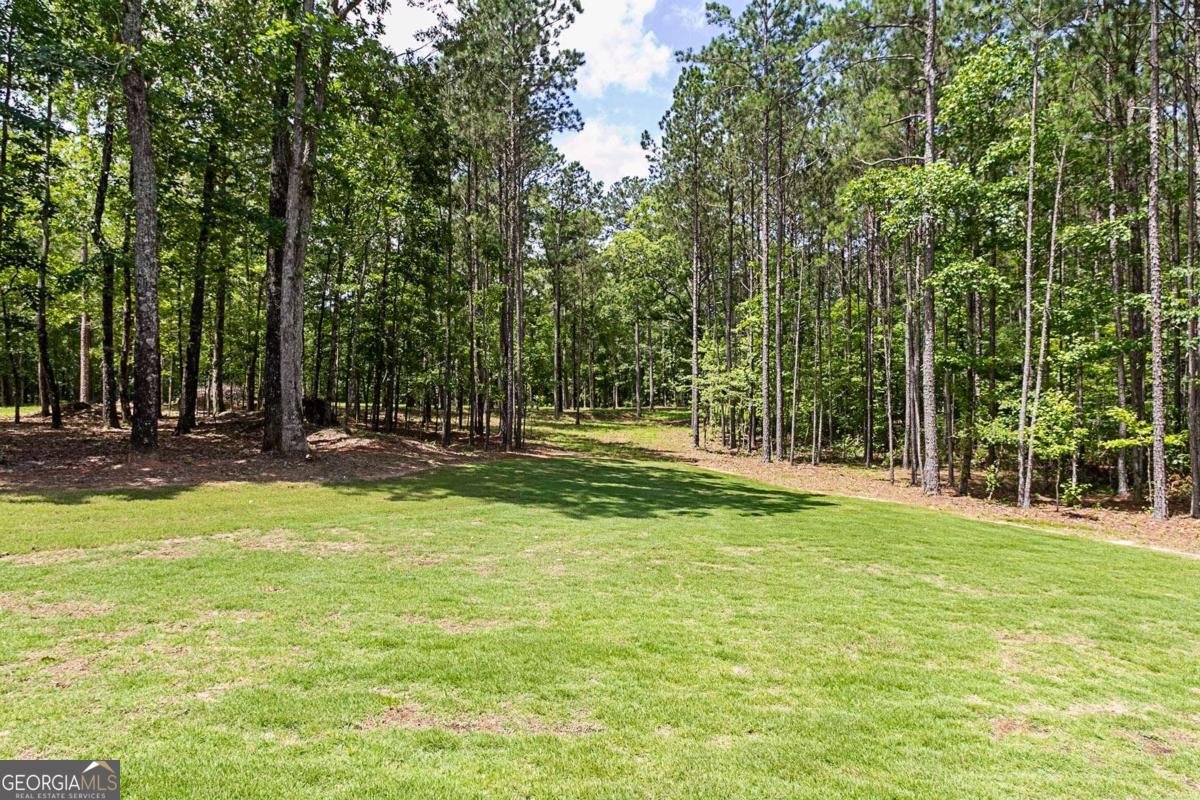 1505 Willis Road Barnesville - 4