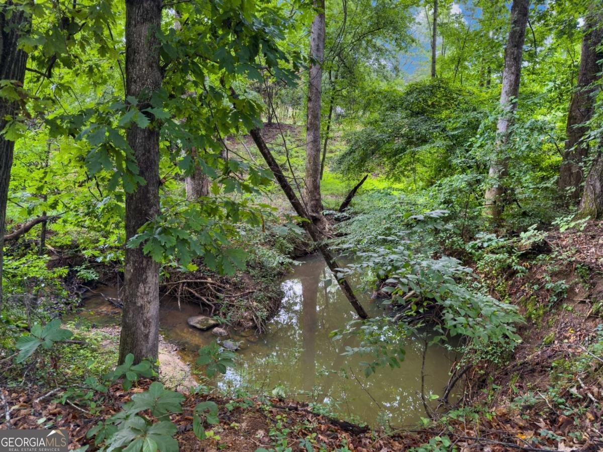 2392 Crimson King Drive Braselton - 75