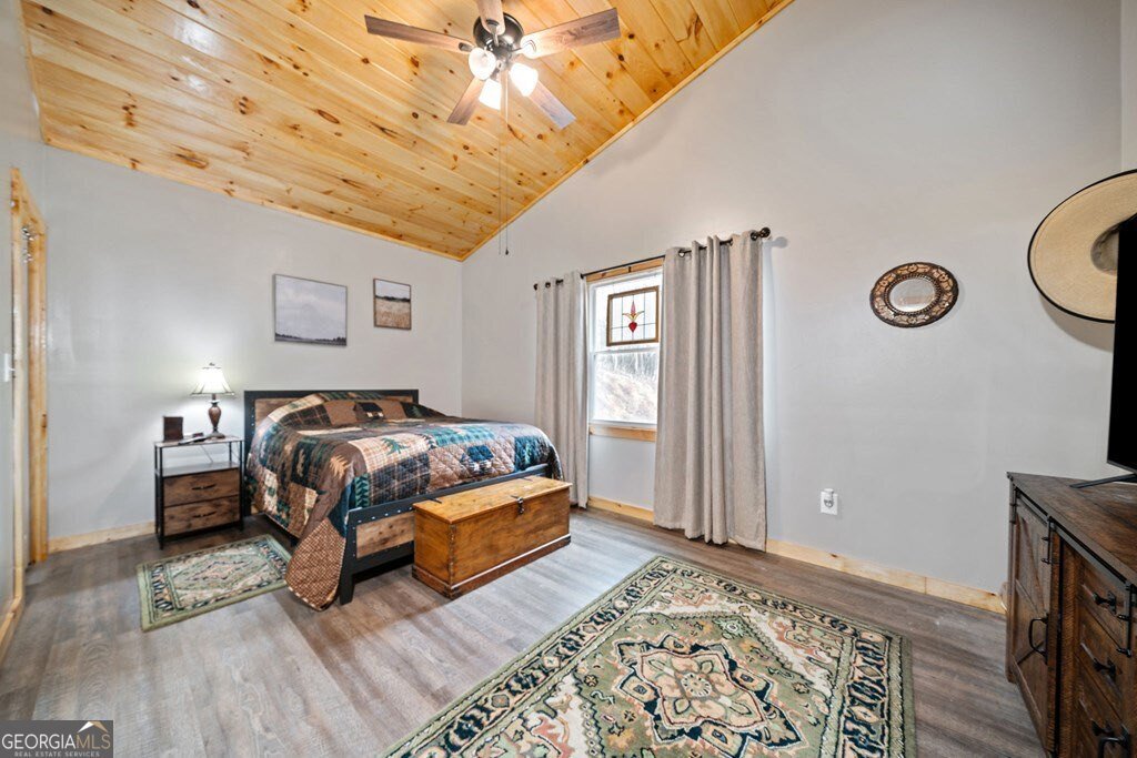 180 Echo Lane Ellijay - 10