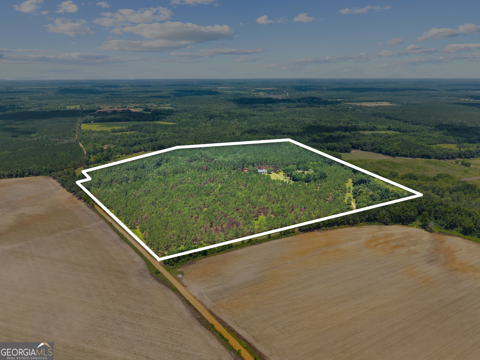 2441 Bovine Road Sylvania - 18