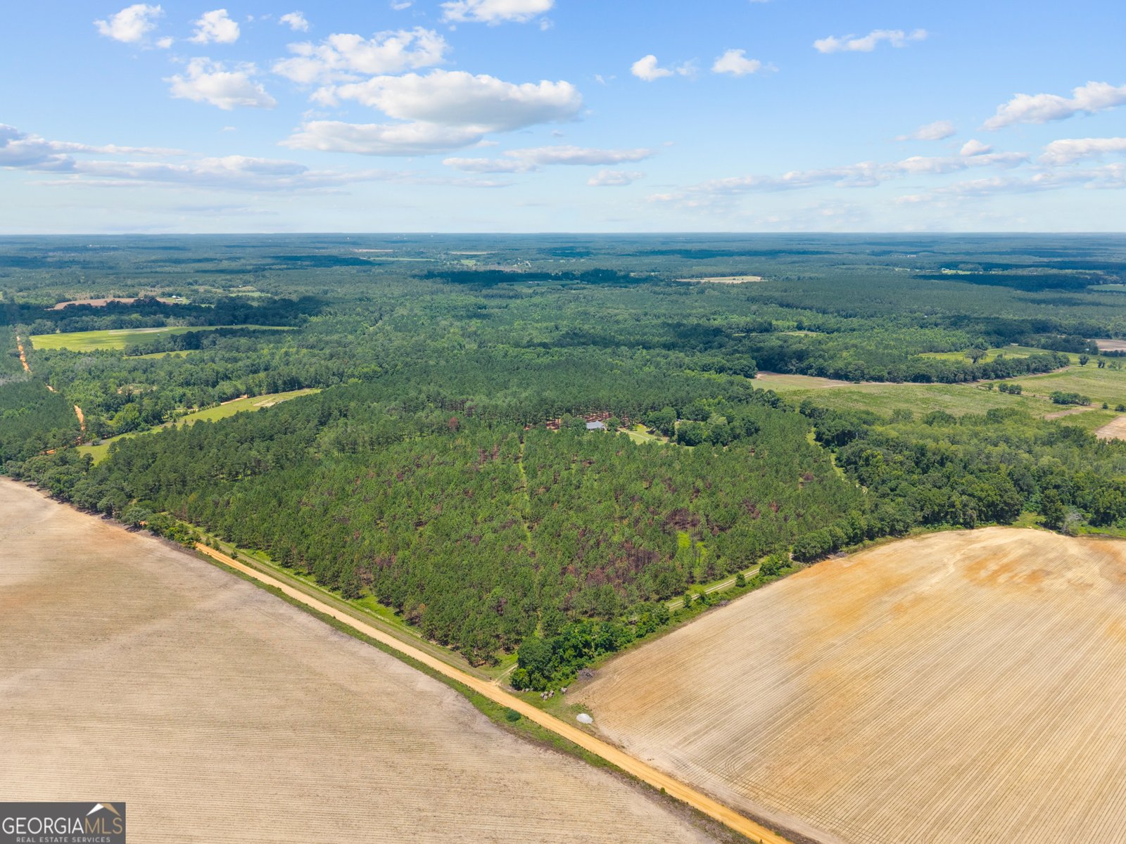 2441 Bovine Road Sylvania - 21