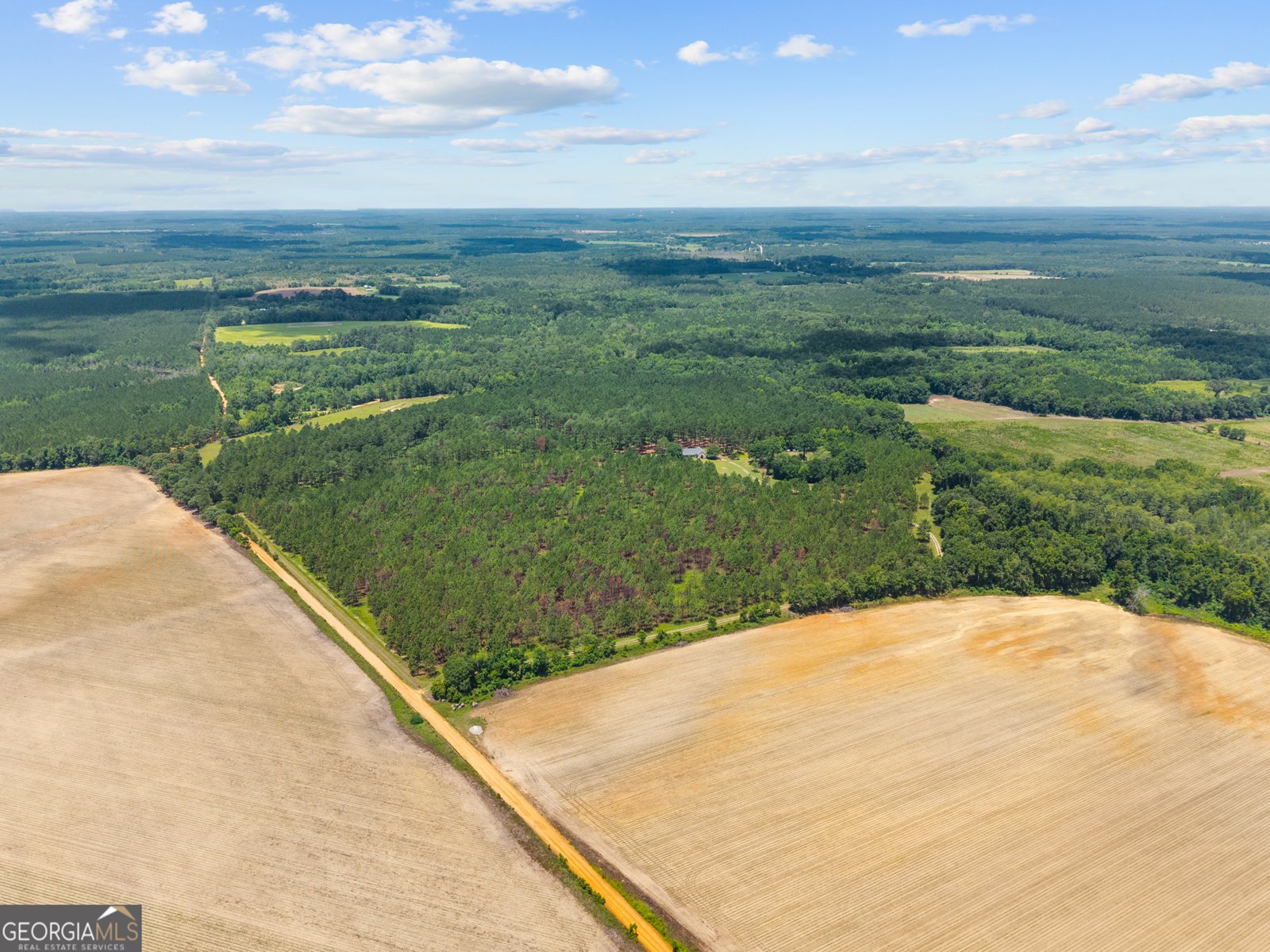 2441 Bovine Road Sylvania - 22