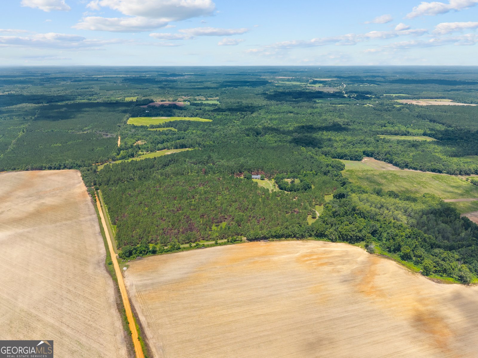 2441 Bovine Road Sylvania - 23